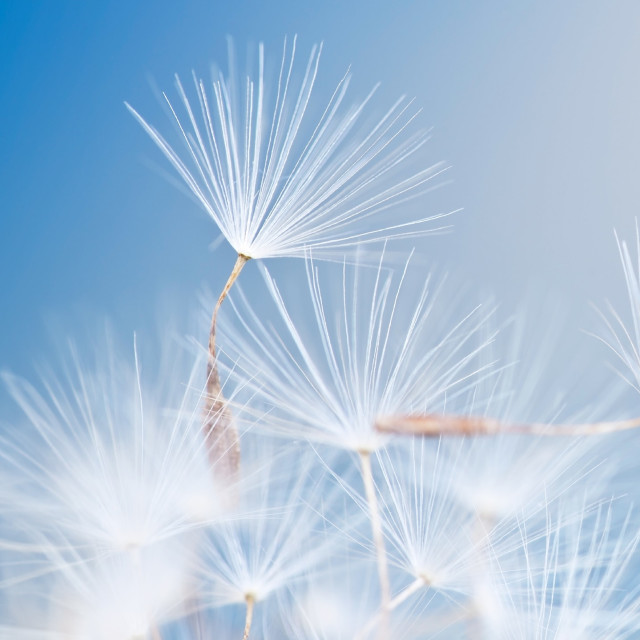 Breathe Your Way to Bliss