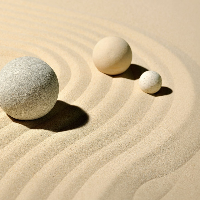 Find Wisdom Everywhere