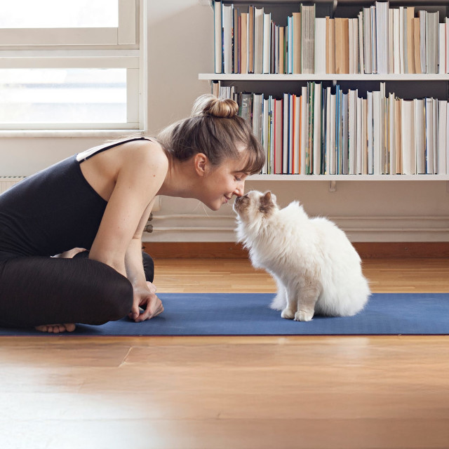 Find Balance with Your Pet
