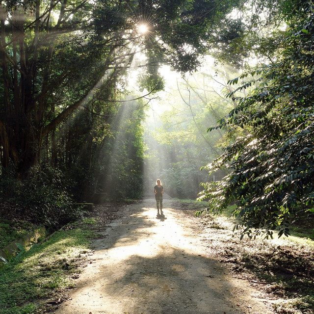 Shamanic Journey to Activate Energy