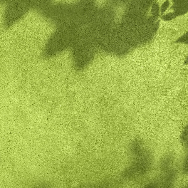 7-Minute Mindfulness Break