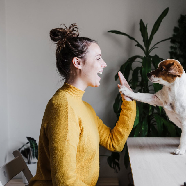 Communicate Better with Your Pet