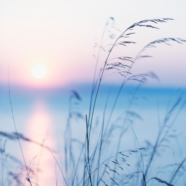 Connect with Mother Earth