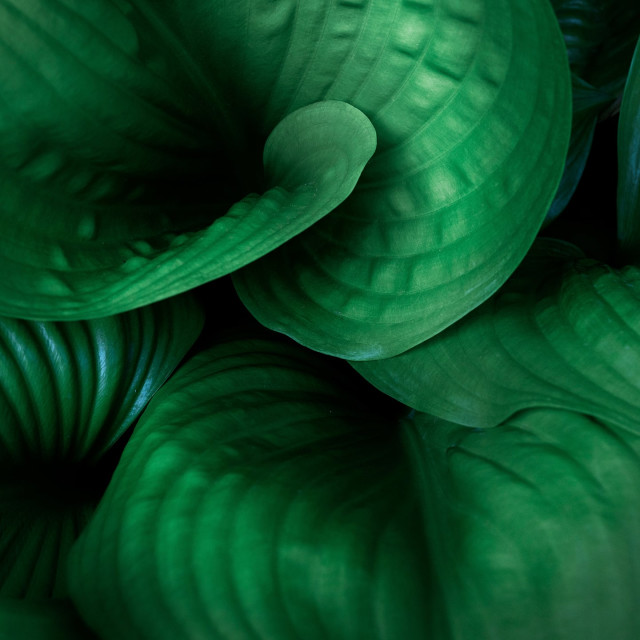 Use Social Media Mindfully