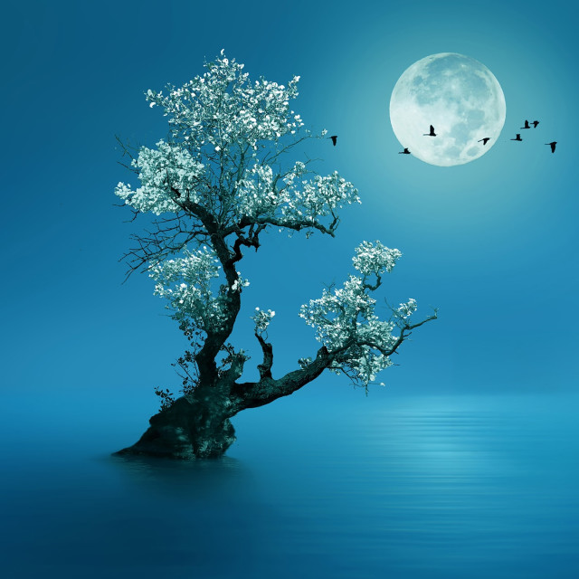 Yoga Nidra for Deep Relaxation