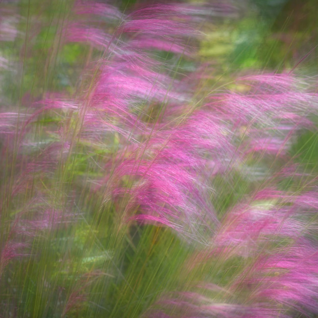 Disconnect from All the Noise