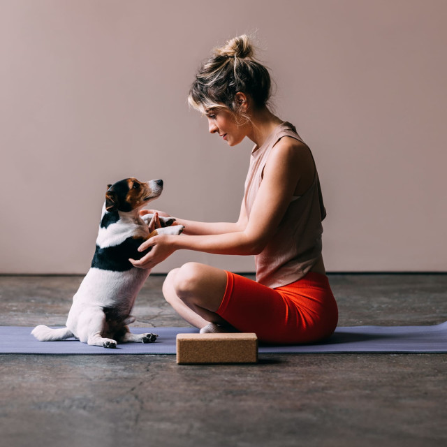 Root Chakra Balance for Pets