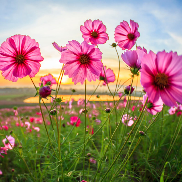 Notice the Good Around You