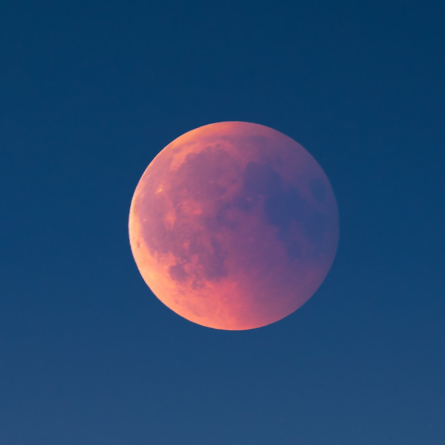 Yoga Nidra for Balance