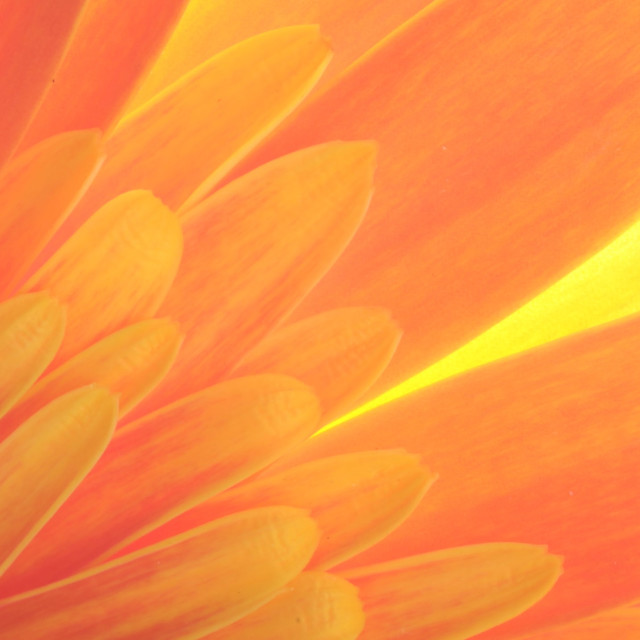 Set an Intention Before Meetings