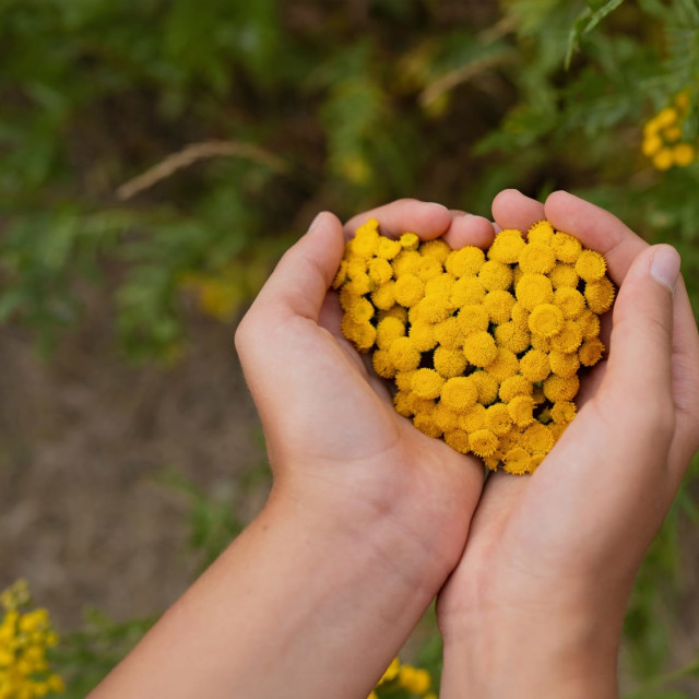 Cultivate Compassion