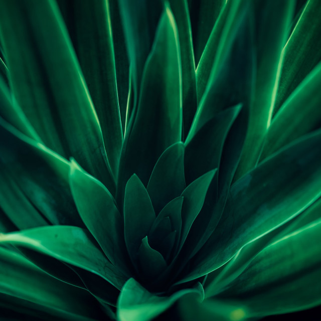 Find Inspiration Everywhere