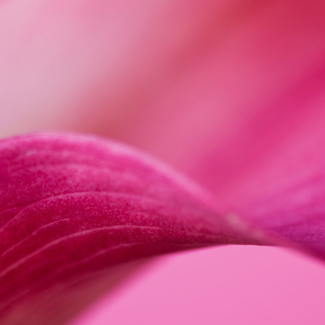 Keep an Effective Sleep Routine