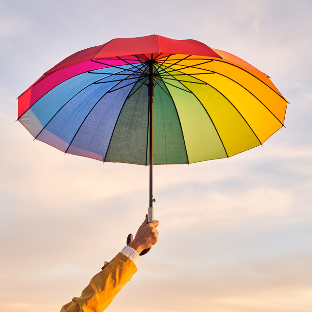 Learn to Trust Your Gut