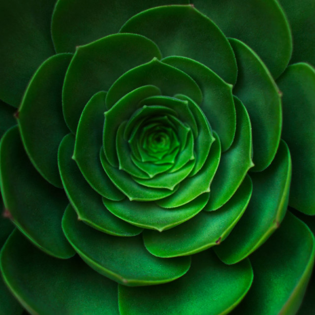 Anger - Body Relaxation