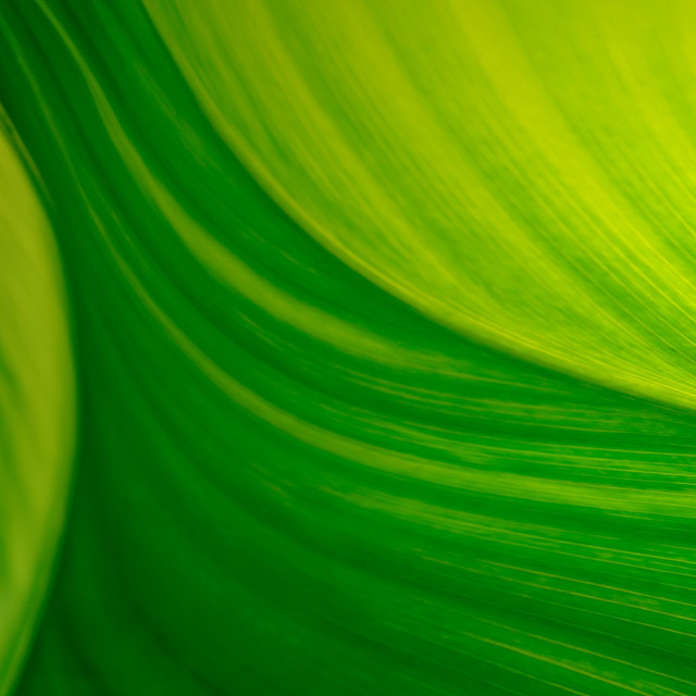 Living Beautifully - Day 28