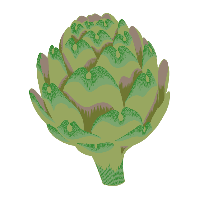 Artichoke