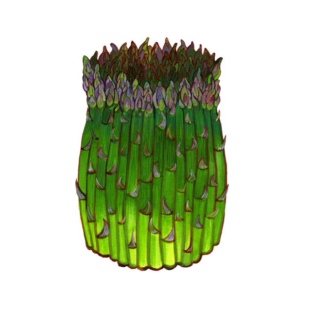 Asparagus