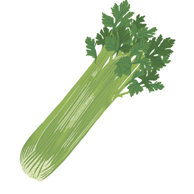 Celery