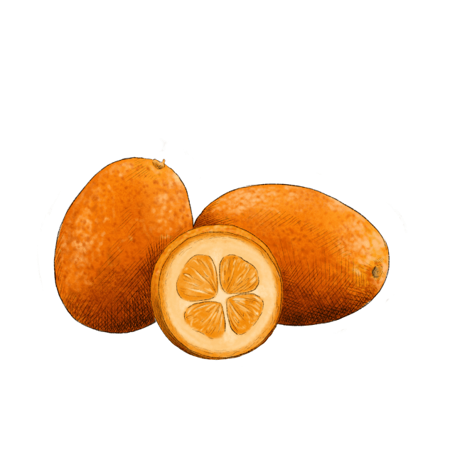 Kumquat