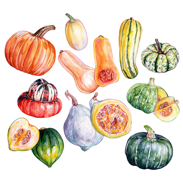 Winter Squash