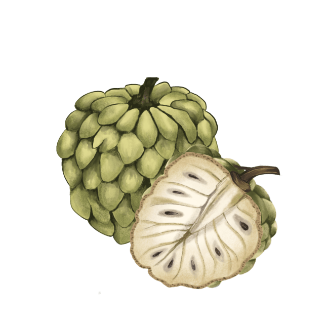 Custard Apple