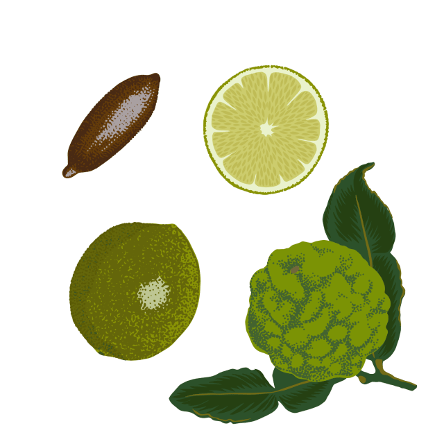 Lime