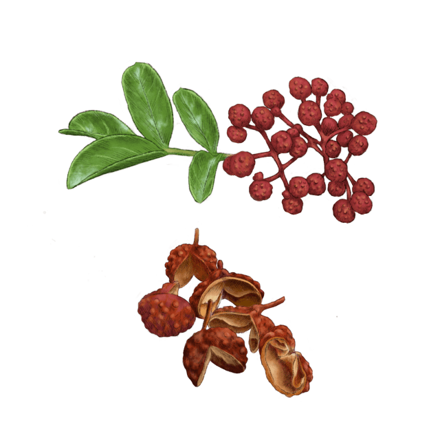 Sichuan Peppercorn