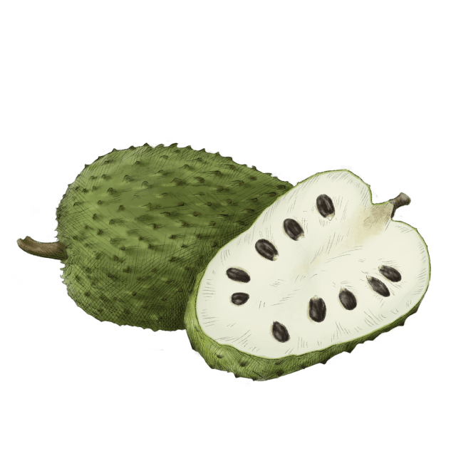 Soursop