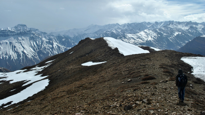 Seeking the Elusive Stone Marten in the Wilds of Spiti Valley