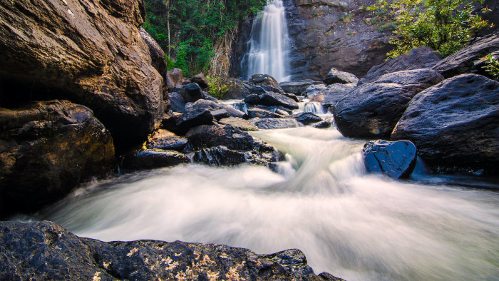 The Guide: Wild Wayanad
