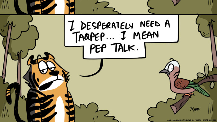 The Black Tiger of Similipal Could Use a Pep Talk