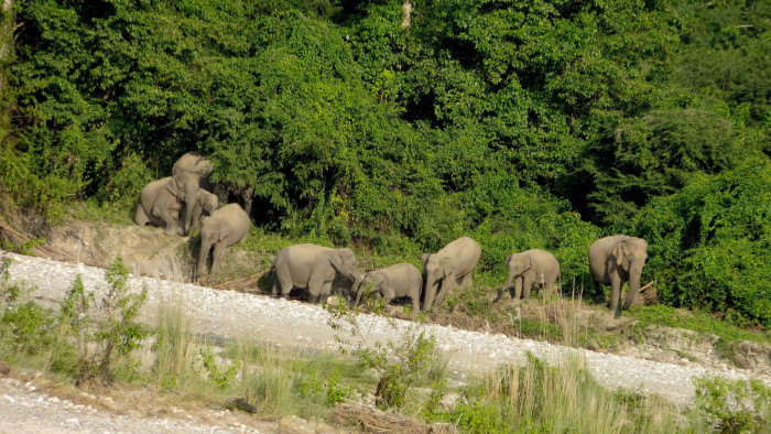 Raimona National Park: Teeming with Biodiversity