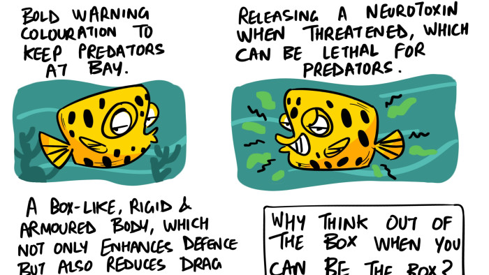 Survival Strategies of a Yellow Boxfish