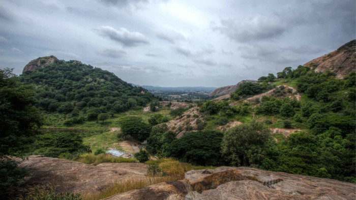 Winds of Change: Sharing Space with the Wild in Ramanagara