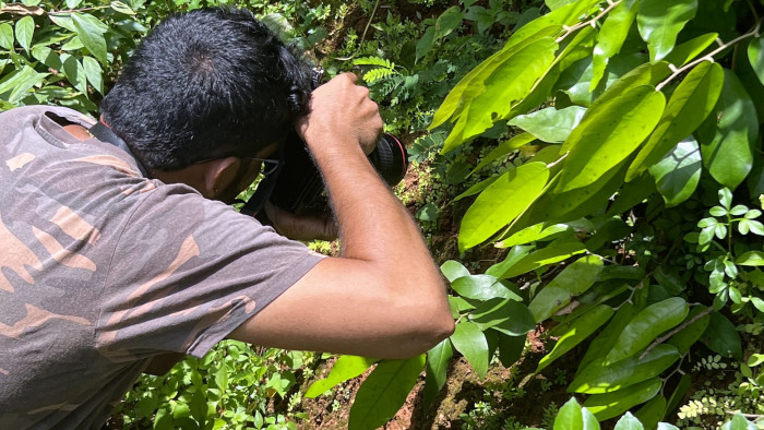 Behind The Lens: What the Spiders in my Backyard Taught Me About Life