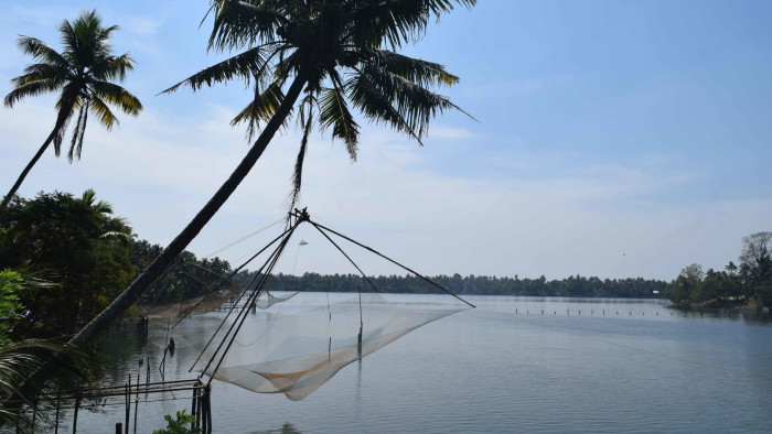Industrial Effluents Claim Fish Lives in Periyar