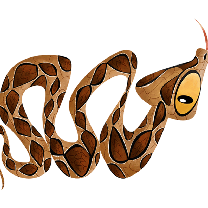 Russell's viper