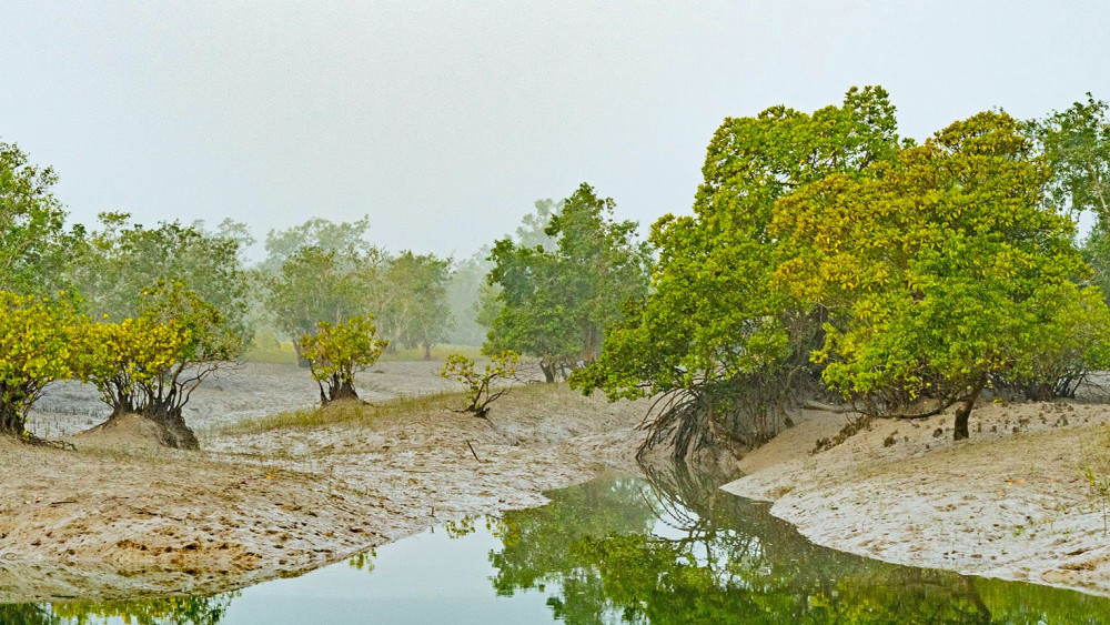 Sundarbans Tiger Reserve