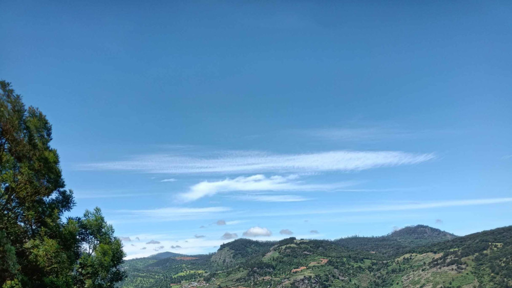 Intimate Connections: Falling in Love With a Walking Trail