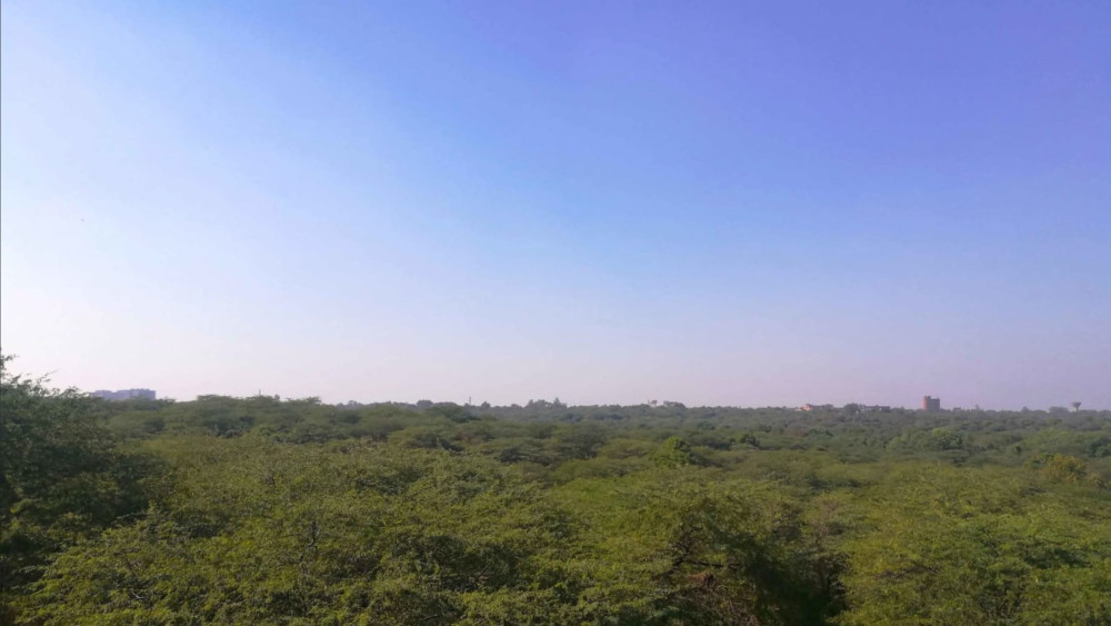 Aravallis