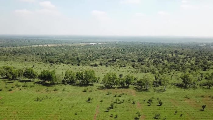 Hesaraghatta Conservation Reserve: The Long Road to Protection