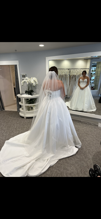 Sara Gabriel Horsehair veil w/blusher - never been worn. Hayley veil main image 3