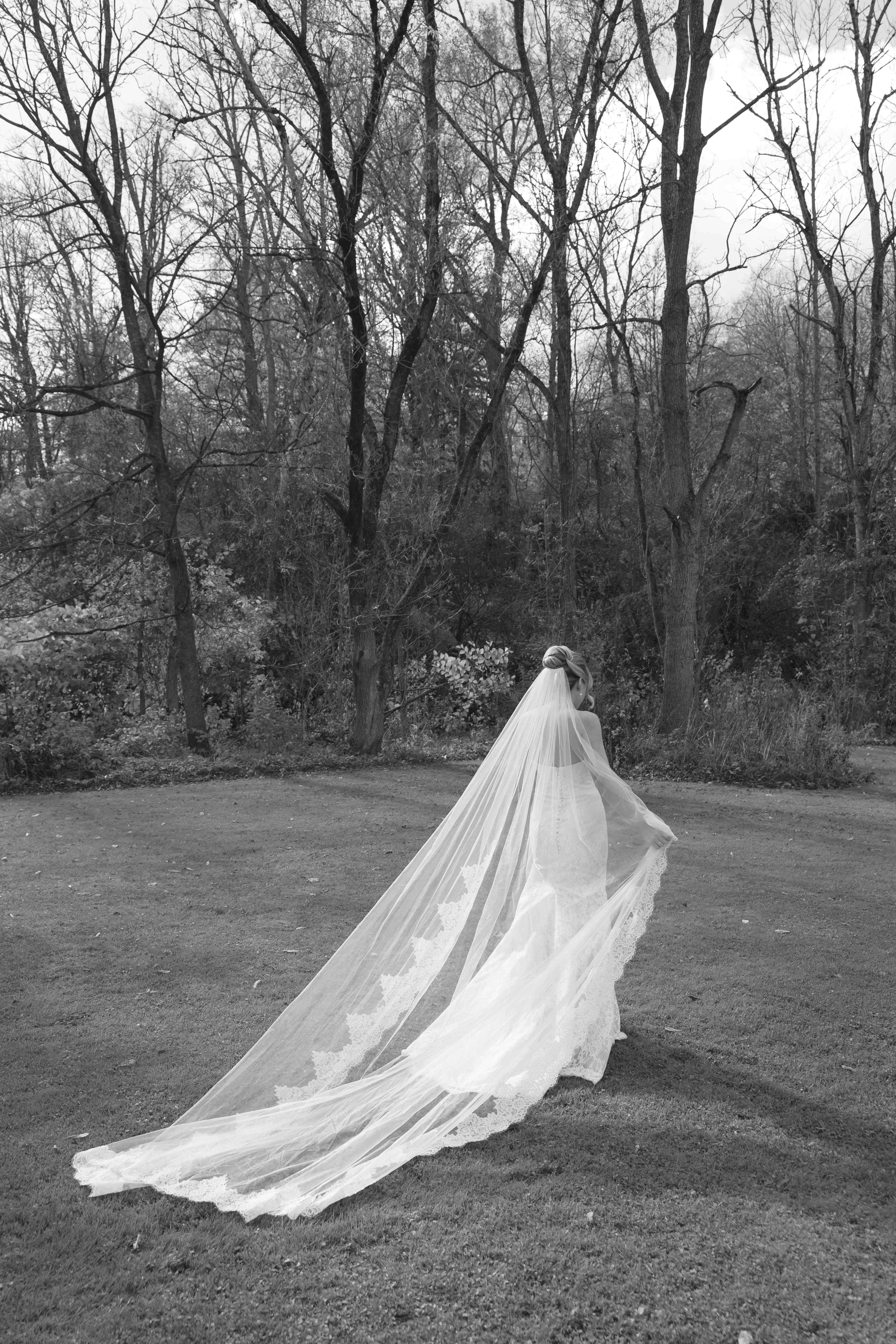 Amsale Cadie Cathedral Veil | rowely