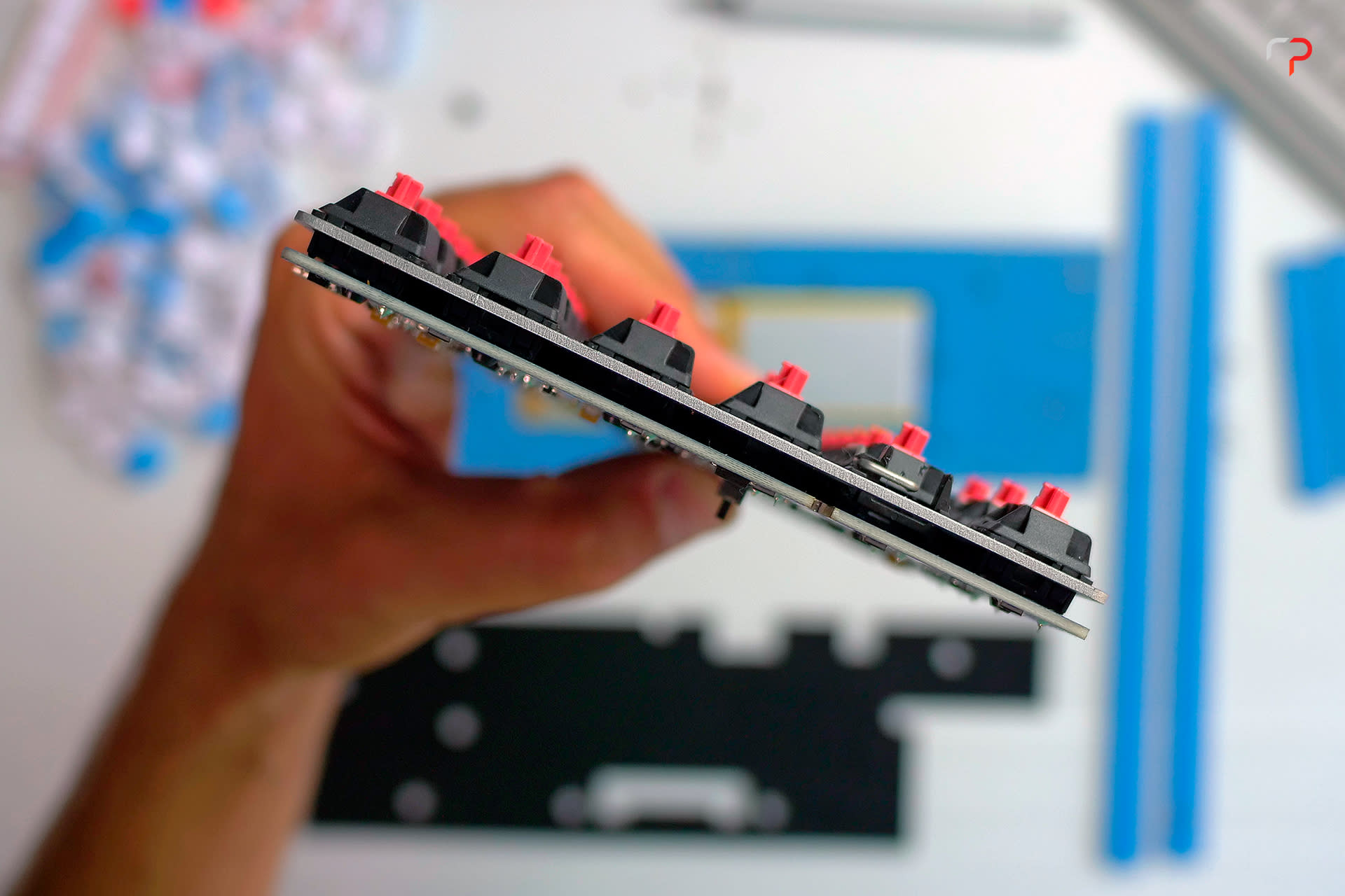 iQunix F96: backplate.