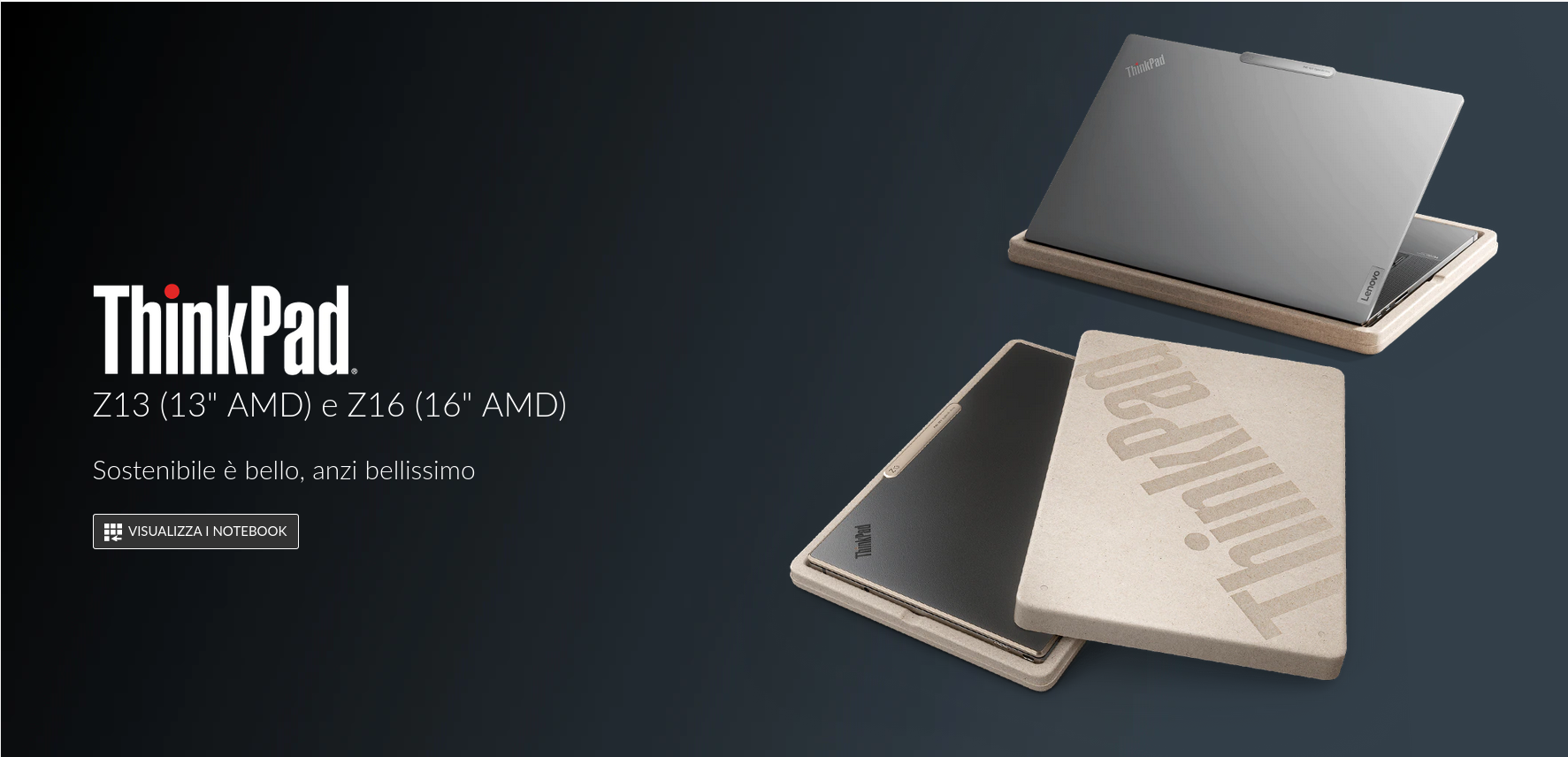 Lenovo ThinkPad Serie Z in Italia