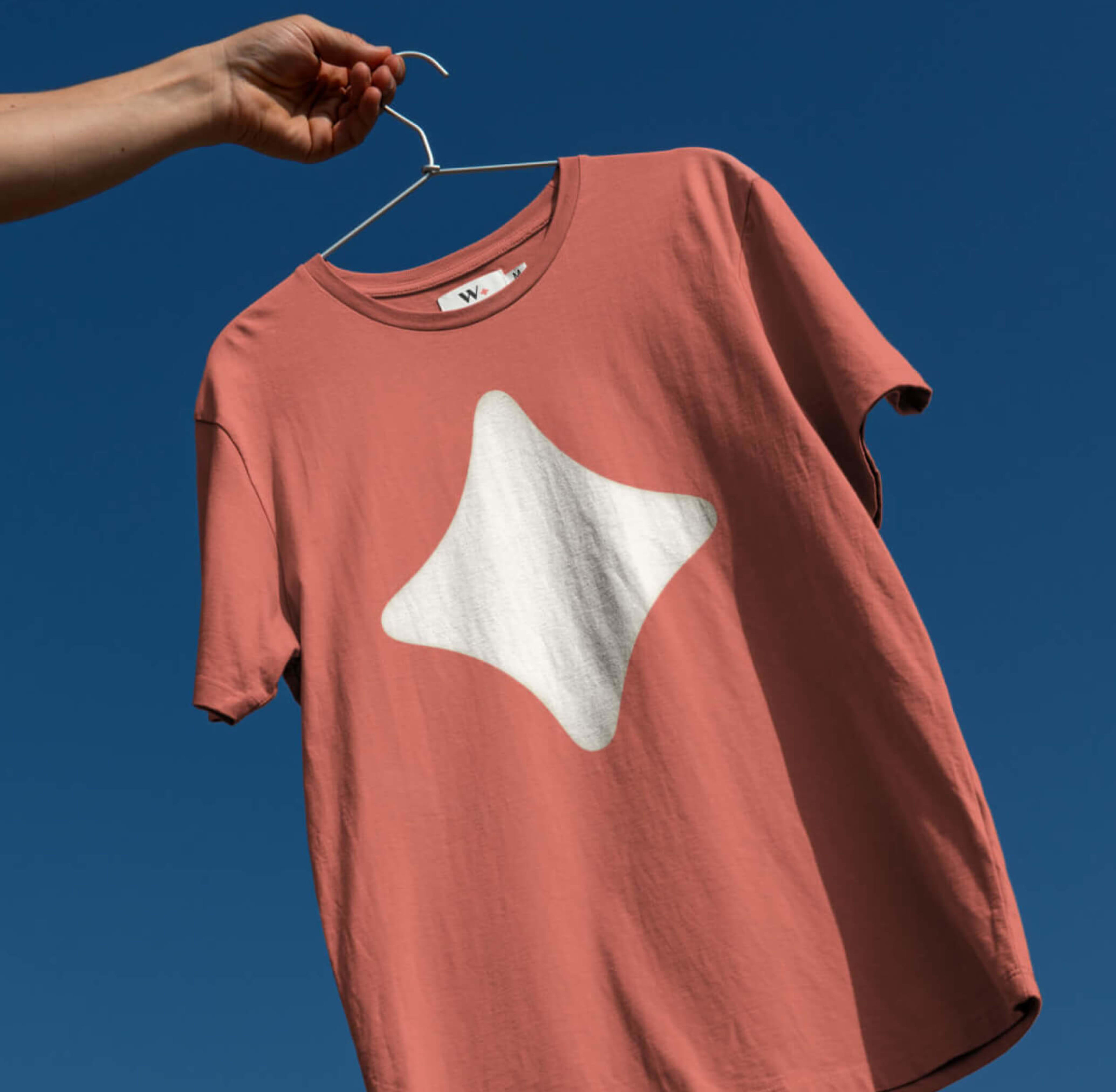 Wyshbox branded merchandise, t-shirt