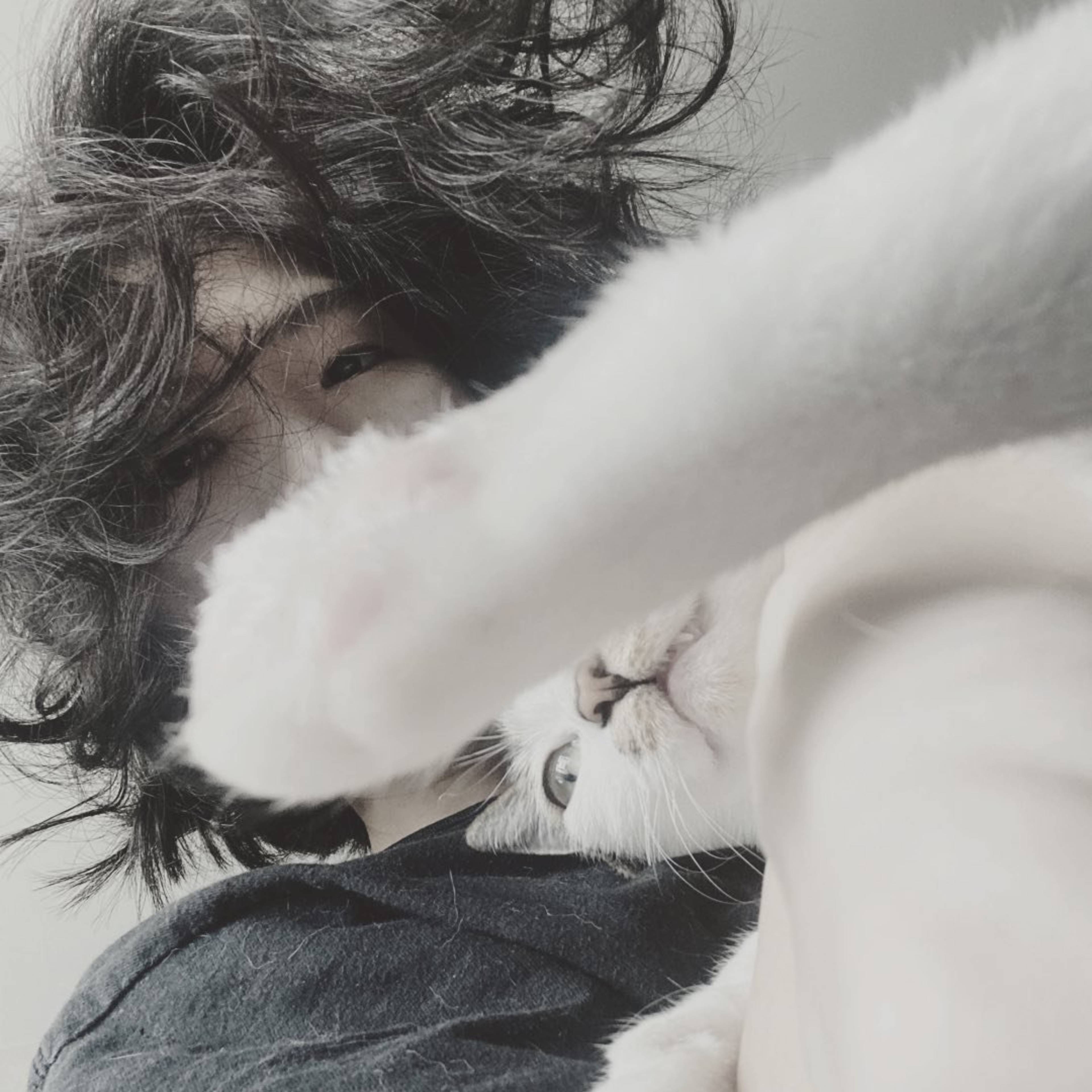 becky-wong-key-visual