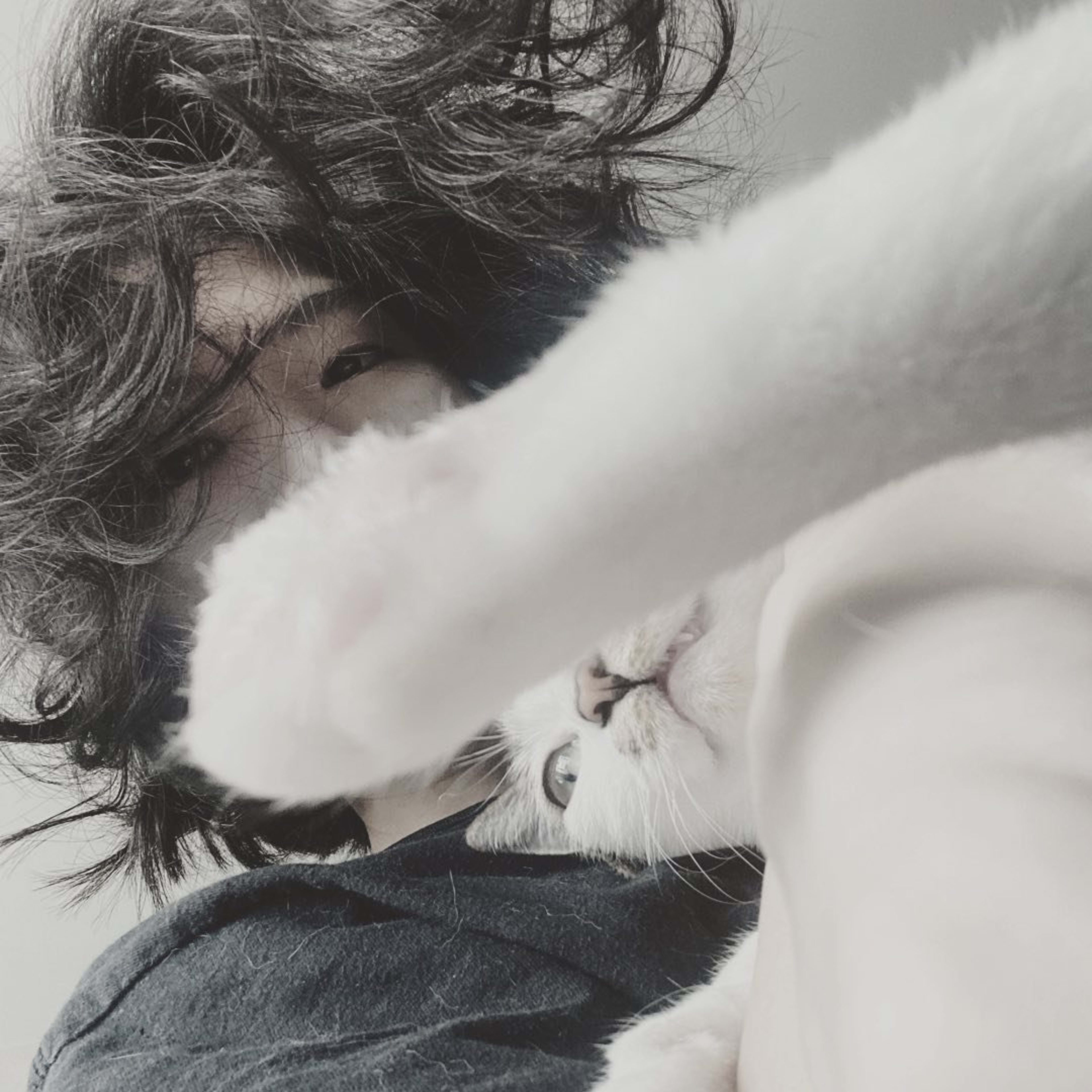 A candid headshot of Hong Kong theatre performer Becky Wong, captured during a quiet moment of intimacy with her cat. The composition features a playful, close-up perspective where the cat's paw softly obstructs the foreground, partially obscuring the scene while highlighting the performer's expressive eyes and tousled hair, reflecting the authentic spirit of contemporary HK theatre rehearsals. A headshot.