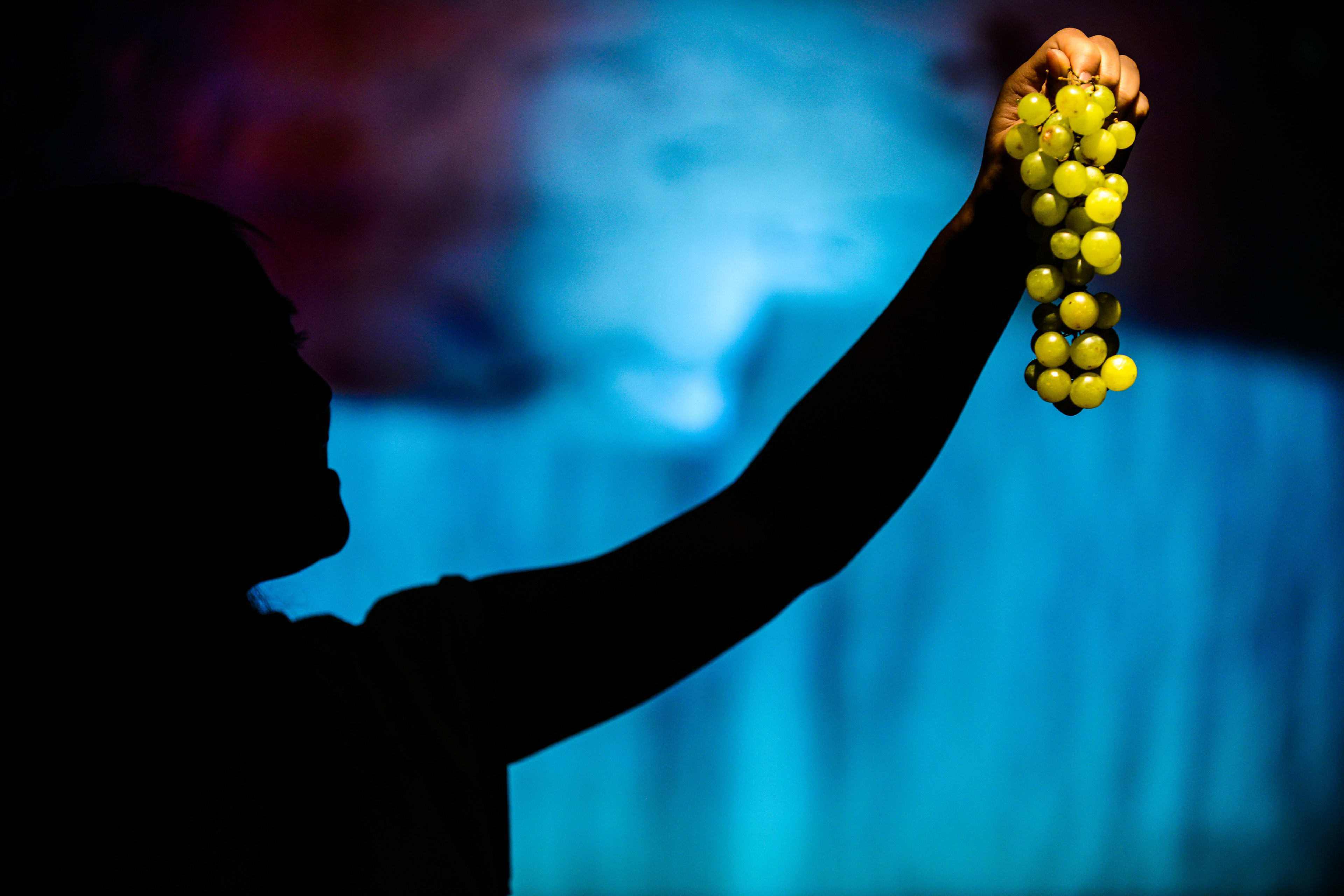 In a dramatic promotional image for the Rooftop Productions contemporary theatre piece Milk and Honey, actor Lung Jes is captured in silhouette against a moody, deep blue backdrop. She holds a glowing bunch of green grapes aloft, illuminated by a spotlight that emphasizes the textures of the fruit against the stark darkness of the stage. The staging evokes a sense of surrealism and intimacy characteristic of experimental Hong Kong stage performance. “Milk and Honey”